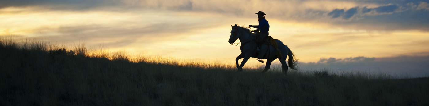 Caballo