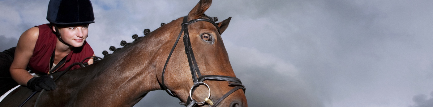 Caballo
