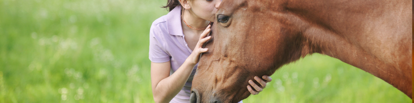 Caballo
